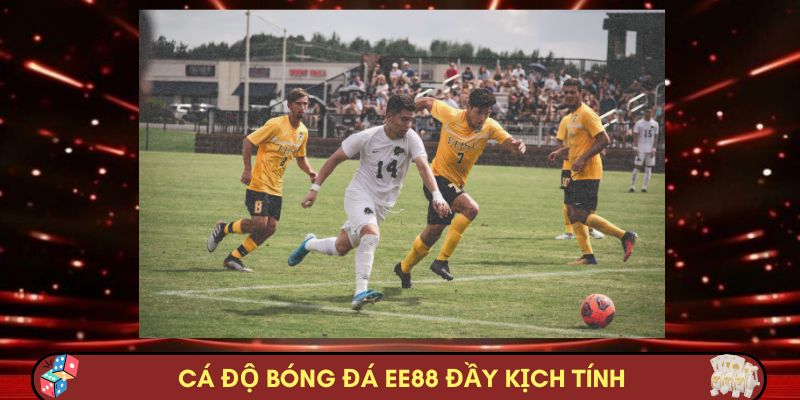 Cá độ bóng đá Nhà cái Nhà cái EE88 đầy kịch tính