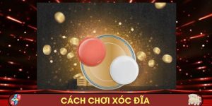 Cách Chơi Xóc Đĩa Tại Nhà cái Nhà cái EE88 - Chơi Dễ, Thắng Cực Đậm